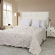  Hot Sale Microfiber Quilted Customized Design Wholesale Cream Polyester Filling Solid Color Full Queen Ultrasonic Blanket Bedspread