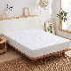  100% Waterproof Quilted Fitted Mattress Pad