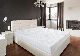 Waterproof Fitted Sheet Cotton Polyester Terry Mattress Protector with TPU Lamination