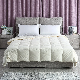  All Size Customized Organic Cotton Filling White Goose Down Quilt