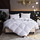  The Latest Hot Sale Washable Poolyester Fiber Quilt Breathable and Good Quality with 100% Cotton Quilt