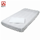  Hygiene Elastic Fitted Bedsheet Disposable Non-Woven Bedspread with Elastic Bedsheet