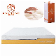 Visco Memory Foam Twin 10 Inch Comfort Bedding Roll up in a Box manufacturer