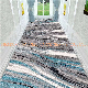  Factory Newest Meeting Room Printed Carpets for Hotel Corridor