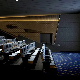  Printed Polyester Wall to Wall Cinema Carpet