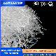  Sdluxn Polyester High-Quality Recycled Polypropylene Crude Fiber China High Strength Steel Fiber Manufacturers for All Kinds of Concrete Buildings