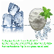  Zhii High Quality Mint Hydrosol /Peppermint Hydrolat