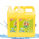 High Concentrate Dish Liquid Soap Washing Liquid Kitchen Oil Removal Cleaner
