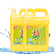 High Concentrate Dish Liquid Soap Washing Liquid Kitchen Oil Removal Cleaner