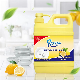 Household Cleaning Products Removal Stains Dishwashing Liquid manufacturer