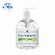 Intco Washing Liquid Sanitizer for Best Sales