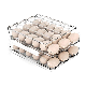 Refrigerator Large Capacity Egg Holder