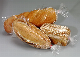 LDPE Transparent PE Poly Food Packaging Bag