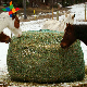  Farmer′s Green/ White Hay Net Slow Feed Hay Net Slow Feeder