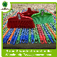  Home Floor Cleaning Soft Fiber Plastic Broom with Stick