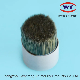  Raw Materials Plastic PP Synthetic Bristle Paint Brush Monofilaments