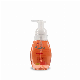  Grapefruit & Basil Moisturizing Anti-Bacterial Foaming Hand Wash Moisturizing Anti-Bacterial Foaming Hand Soap