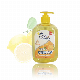 Customized Fancy Fragrance Natural Hand Wash Soap Private Label Hand Liquid Soap manufacturer