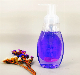 250ml Anti-Bacterial Foam Hand Soap Orchid
