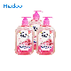  Fresh Fragrance Natural Hand Wash Liquid Hand Soap