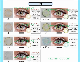  Can Do Yearly and Daily Lens Color Contact Lenses Dahab Colors