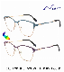  Ouyuan 2024 Fashion Cateye Change Color Metal Optical Frame