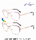  Ouyuan 2024 Change Color Big Square Metal Optical Frame