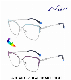  Ouyuan Change Color Metal Cateye Lady Woman Optical Frame