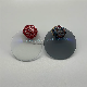 Wholesale Cr39 1.56 UV420 Photochromic Grey Blue Cut Optical Lens