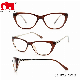  Cat Eye Fashion Reader Designed Temple High Quality Ladies Reading Glasses (WRP20011)