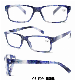  Fashion and Hot Selling Plastic Eyewear Frame (WRP902005)