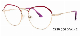  Factory Price New Wholesaler Square Fashion Metal Women Optical Frames