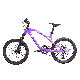  Ctm207 BMX Kids Ride Mountain Bikes Single Speed Fashion Model 20 Inch Bicycle High Carbon Fiber Frame with Cheap Price