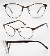 Manufacturier Custom Unisex Big Circle Frame Optical Frame Cp Tempel Designer Metallic Optical Spectacle Frame (WFM20007)