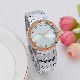  Elegant Lady Watch Alloy Watch Factory Gift Watches for Promotion