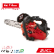 Hand Hold Small Wood Cutting Machine 25cc Garden Power Tools Portable Mini Gasoline Chain Saw (GS2500) manufacturer