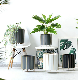  Many Colors Round Morden Planter Pot for Decoration and Display