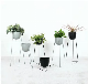  Steel Planter for Home Decor and Display