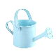 Mini Watering Can Metal Bucket Sprinkled Irrigation Ci24788
