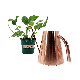  Decorative Rose Gold Plated Watering Can 1.3L with Long Spout for House Plant Garden Flower Metal Stainless Steel Watering Can
