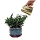  Decorative Farmhouse Gold Stainless Steel Indoor Plant Watering Can Pot Metal with Long Spout for Easy Watering