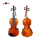  Copy Style European Old Violin Soil 1714, Cremonese 1715, Messiah 1716, Connon 1743, Kreiser 1730, Heifetz 1740 (VH600E)