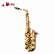  Professional Saxophone High F Golden Lacquer Eb Key Alto Saxophone Woodwind Instrument (SP1001G)