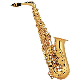  Popular Alto Saxophone/ Musical Instrument (AS-100)