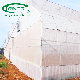  Agricultural greenhouse material for sale