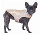  Golden Winter Dog Quilting Puffer Jacket Velcro Coat Pet Clothes