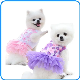  New Design Waterproof Pet Product Supply Dog Clothes