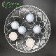  Main Product (floating golf balls)