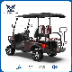  CE Approved Buggy/Golf Kinghike Packed and Loaded by Container Beach Cart Golf Carts for Sale