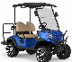 2 Seater Electric Hunting Golf Buggy Carts with Good Price